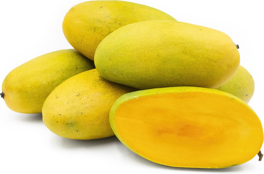 Dasheri Mango � The North Indian Favorite