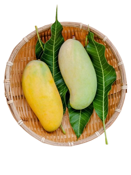 Supreme Mango Offer