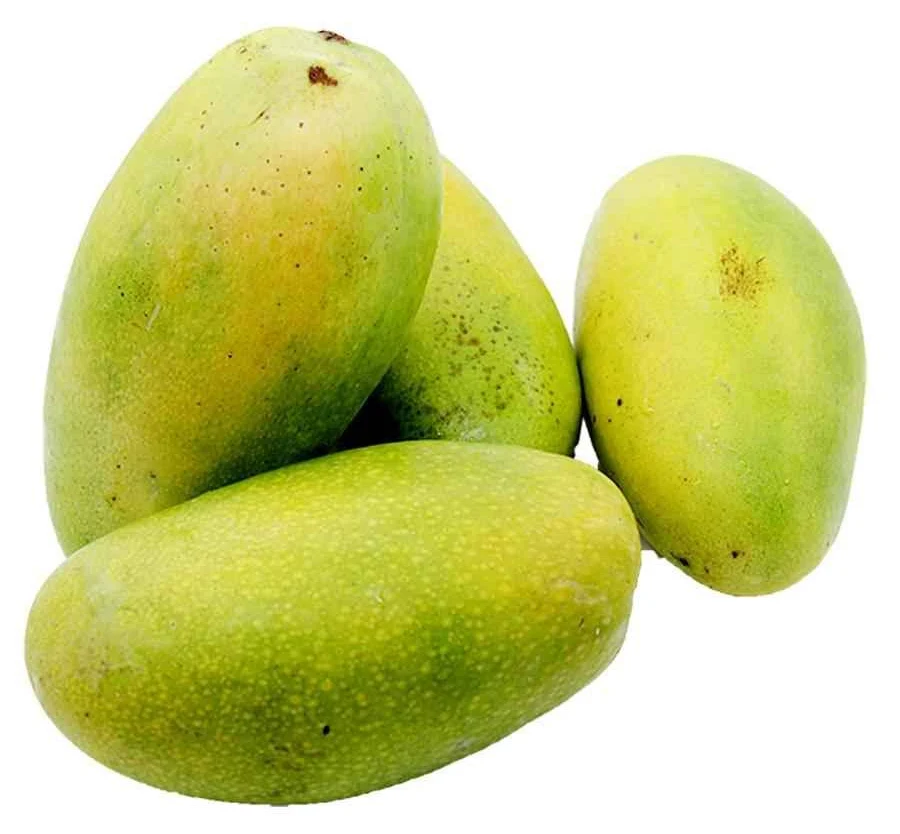 Dasheri Mango