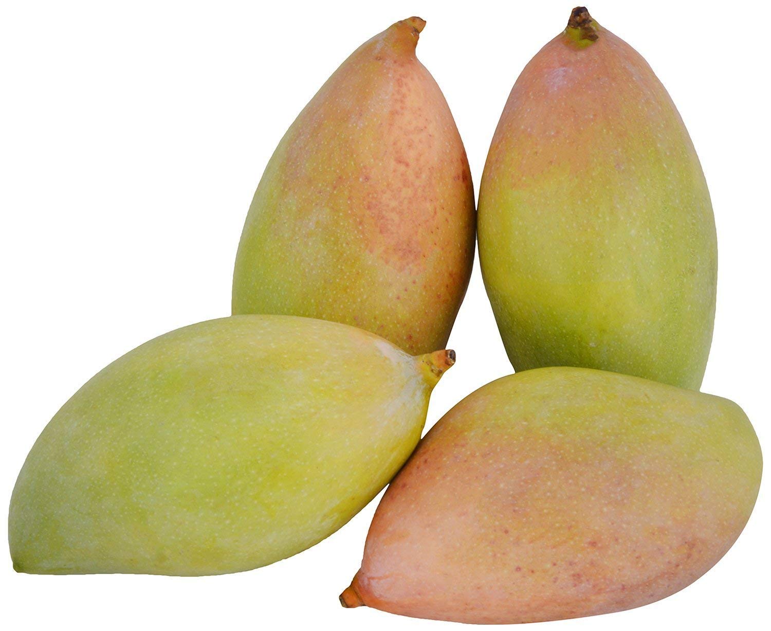 Totapuri Mango