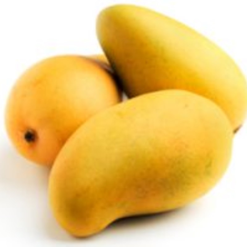 Amrapali Mango